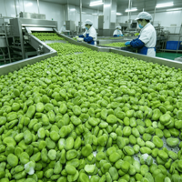Fèves entières IQF certifiées de haute qualité, légumes entiers, prix compétitif, quantité en vrac, vente en gros