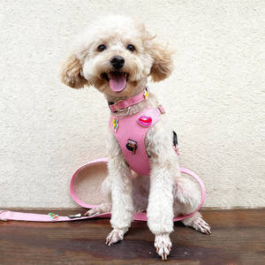 Set Harnesses & Tali Kekang Hewan Peliharaan Lucu Motif Kartun PU <span class=keywords><strong>DIY</strong></span>, Harnesses Vest Anjing yang Dapat Disesuaikan dan Bernapas untuk Anak Anjing, Kucing, dan Anjing, Set 3-Piece - Product Image 2
