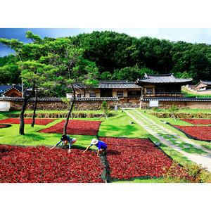 [Biggalchan 130g] Condimento Coreano Picante y Aromático para Barbacoa, Uso Versátil, Especias Secas, Chile Rojo en Polvo - Product Image 1