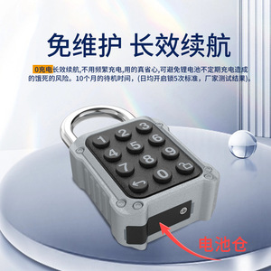 Plum Bossom <b>Smart</b> Padlock Sy701 Alloy Abs Password <b>Lock</b> For Locker Cabinet Use - Product Image 5