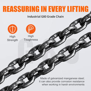 HSZ-C 3 Ton rantai tangan <span class=keywords><strong>Hoist</strong></span> galvanis baja G80 rantai 360 ° kait putar untuk gudang Dok kondisi baru 3m pengangkat - Product Image 3