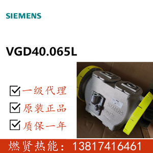 VGD40.065L Gaz pour STOCK 20 Original et Neuf - Product Image 2