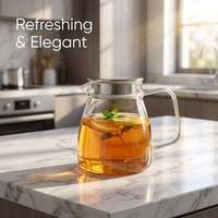 Théière moderne en verre borosilicate haute résistance de 800 ml, écologique, avec filtre en acier inoxydable et couvercle, bouilloire électrique pour le bureau