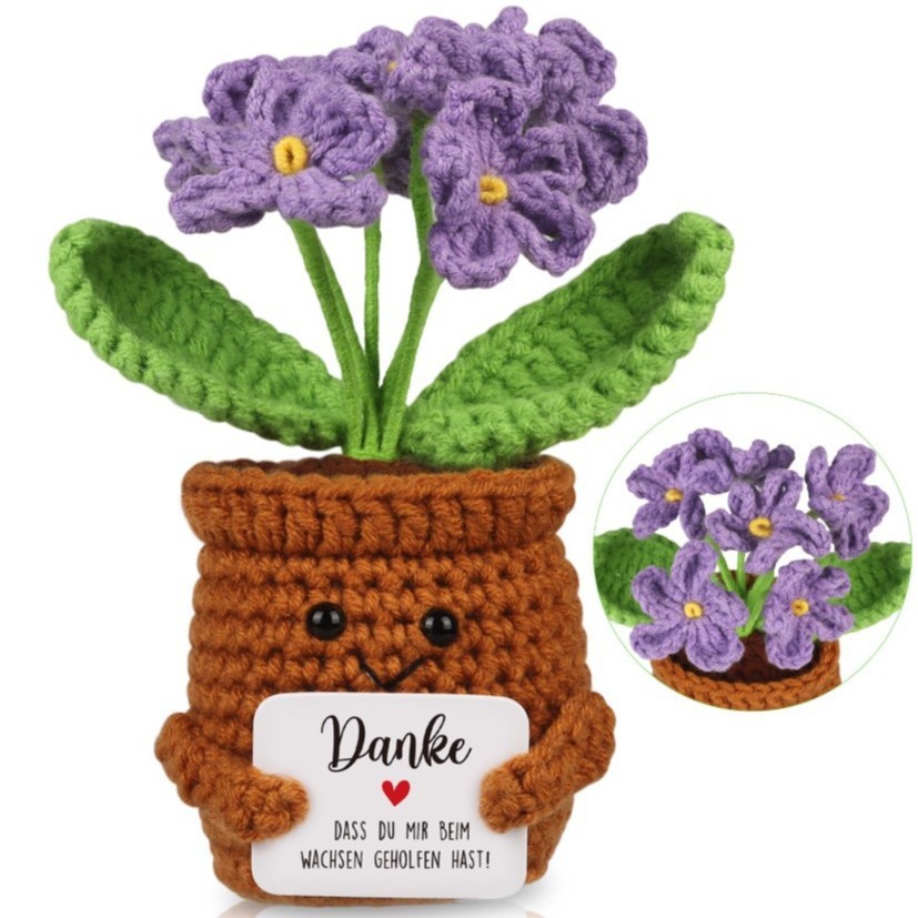 Purple Forget-Me-Not Potted Plant