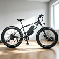 Bicicleta Eléctrica de Montaña de Alta Calidad a Precio de Fábrica, 36V 250W 500W, 26/29 Pulgadas, Bicicleta Eléctrica Económica, E-MTB