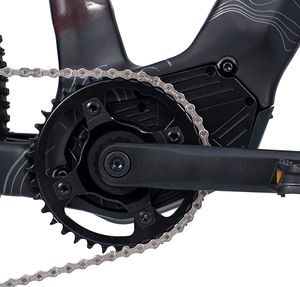 Bicicleta de Montaña JOYKIE de 29 Pulgadas, Nuevo Diseño, 250W, 36V, 15Ah, Motor Central, Frenos de Disco Hidráulicos, Pantalla TFT - Product Image 2