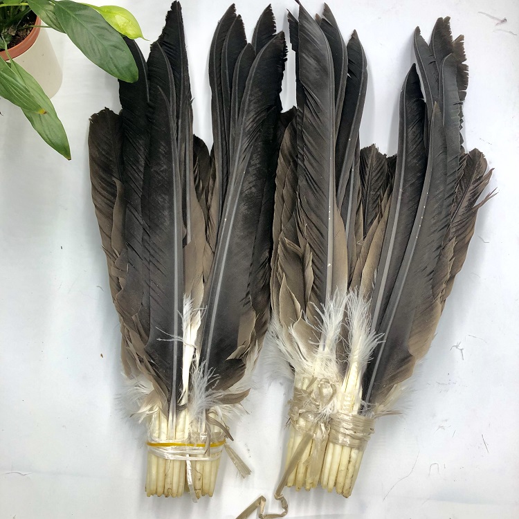 Turkey Quill Feathers – Zucker Feather Products, Inc.
