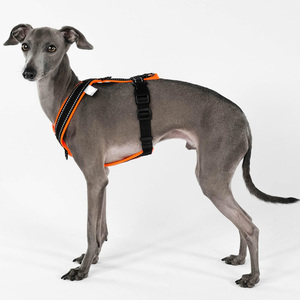 反射材付き軽量ノーブルドッグベストハーネス：ソフトパッド入り、首と胸元バックルで調節可能、H型犬用ハーネス - Product Image 6