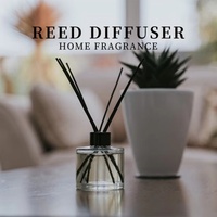 Diffuseur de parfum d'ambiance de luxe en verre rond, parfum Jasmin, pour hôtel et chambre, OEM&ODM