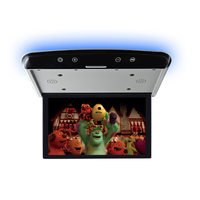 Monitor de Techo para Auto de 15.6 Pulgadas con Pantalla LCD IPS, Reproductor Estéreo con Control Remoto, Conexión USB, Garantía de 1 Año