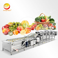Orme Kleine Mangosalade Passievrucht Schoon Drogen En Sorteren Machine Aardbei Abrikoos Vijg Waslijn