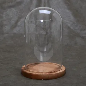 Custom Glass Sealed Display Cover Bell Jar With Wood Base For Decoration