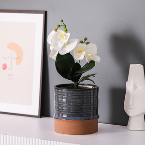 <span class=keywords><strong>Maceta</strong></span> carnosa Combinación Cerámica <span class=keywords><strong>Maceta</strong></span> carnosa <span class=keywords><strong>Maceta</strong></span> creativa <span class=keywords><strong>Terrazo</strong></span> de fábrica directamente - Product Image 4