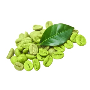 Extrait de grain de café vert naturel de haute qualité d'approvisionnement d'usine de la Chine bon <span class=keywords><strong>pour</strong></span> l'usage de <span class=keywords><strong>plante</strong></span> - Product Image 5
