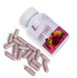 Capsules végétariennes de supplément de fibres alimentaires à base de plantes pour les femmes - Product Image 2