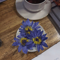 Teh Bunga Teratai Biru Kering Kelas Makanan, Kantong Infus Bunga 0.5 kg