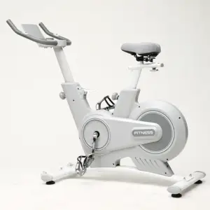 TOPFIT Fitness Cycling Exercise Bike Programmable Spinning Bike With Back Wheel