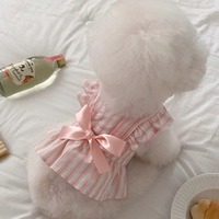 Robe de créateur en gros pour chien, jupe rayée avec nœud style princesse pour petits animaux, vêtements coréens pour animaux de compagnie, tendance 2026, vêtements pour chiots et chats