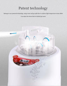 桑拿蒸笼便携式锅2升，带遥控水疗熏蒸机的不锈钢蒸汽发生器 - Product Image 2