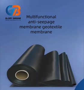Membrane géotextile anti-infiltration en polyéthylène haute densité (HDPE) pour étang à poissons, réservoir de stockage d'eau, <span class=keywords><strong>film</strong></span> d'étanchéité - Product Image 1
