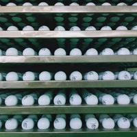Balle de golf surlyn 3 couches avec logo personnalisé, vente en gros, design 332 dimples, longue distance, trajectoire droite, revêtement surlyn durable
