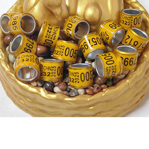 Aangepaste naam telefoonnummer serienummer duivenmerk Midden-Oosterse duivenpootring 2025 gouden duivenringen vogelring - Product Image 1