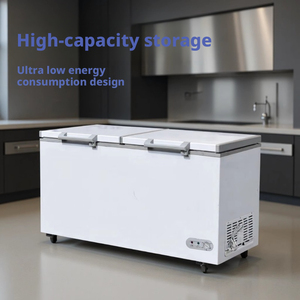 Réfrigérateurs commerciaux de haute qualité à une, deux ou trois portes pour supermarchés, congélateurs horizontaux pour hôtels et restaurants - Product Image 2