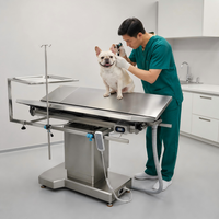 Table d'opération vétérinaire en acier inoxydable XY ACS03 avec levage électrique fluide et support pratique pour les cliniques