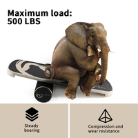 Planche d'équilibre en bois professionnelle Zhensheng pour le fitness, le ski, le patinage et le surf – Vente chaude personnalisée pour grossistes