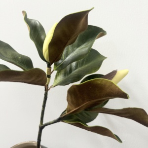 M562 hecho a mano lujoso Multi colores Real Touch seda <span class=keywords><strong>Magnolia</strong></span> hoja y ramas para boda Día <span class=keywords><strong>de</strong></span> la madre decoraciones <span class=keywords><strong>de</strong></span> Navidad - Product Image 3