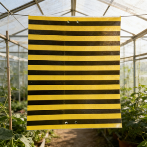 Pièges collants jaunes double face 20x25cm en stock avec motif rayé bionique pour le contrôle <span class=keywords><strong>des</strong></span> ravageurs dans les petites exploitations agricoles et les serres - Product Image 6