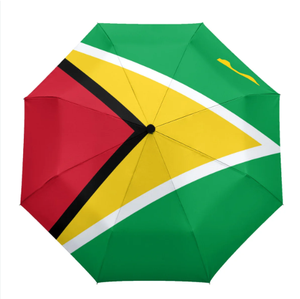 Parapluie drapeau dominicain, parapluies automatiques imperméables pour femmes et hommes, parapluie d'extérieur avec bouton d'ouverture et de fermeture automatiques, revêtement anti-UV - Product Image 6