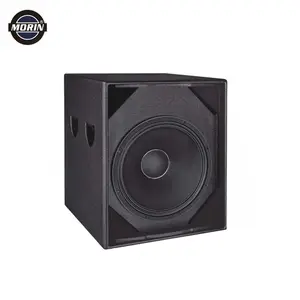 Große Power Pro Audio Passiven Sub 600W Professionelle Subwoofer DJ PA Lautsprecher System