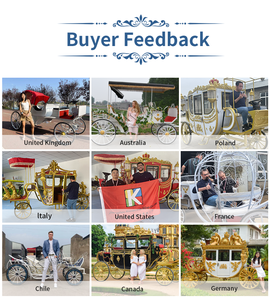 Fabricante de Carruajes Reales, Vehículo Eléctrico para Bodas, Vagoneta Eléctrica para Turismo, Carruaje Eléctrico sin Caballos - Product Image 5