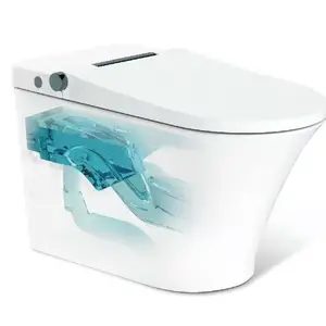 AXENT intelligente wc con bidet intelligente wc inviato in polvere senza serbatoio di acqua