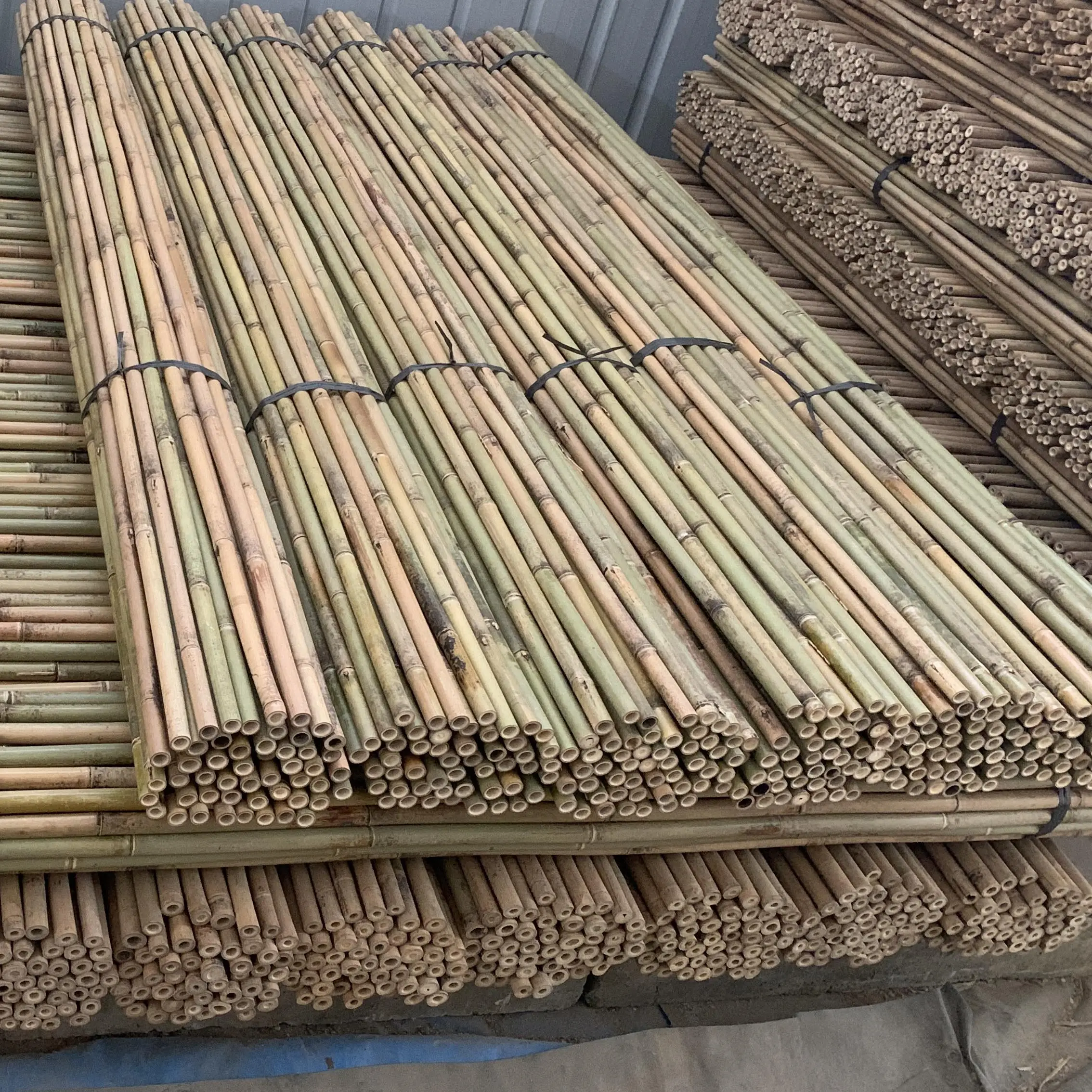 Estacas De Bambu Tratados Bambu amarelo Suporte flor cana Bambu Tonkin