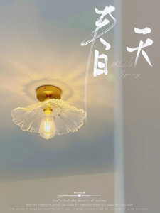 Plafonnier en métal de style japonais moderne rétro en forme de feuille de lotus avec <span class=keywords><strong>LED</strong></span> <span class=keywords><strong>220V</strong></span> pour couloir élégant et entrée de porche - Product Image 4