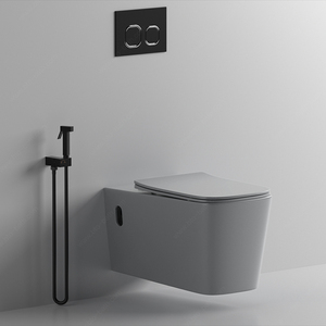 BTO Vente en gros articles sanitaires de luxe europe sans rebord couleur gris mat peu encombrant sanitario <span class=keywords><strong>WC</strong></span> suspendus muraux cuvette commode - Product Image 6