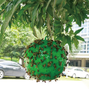 Appât naturel de tueur de mouches de boule de piège collant jaune avec l'option verte Forme de fruit physiquement attrayante Matière plastique non toxique - Product Image 3