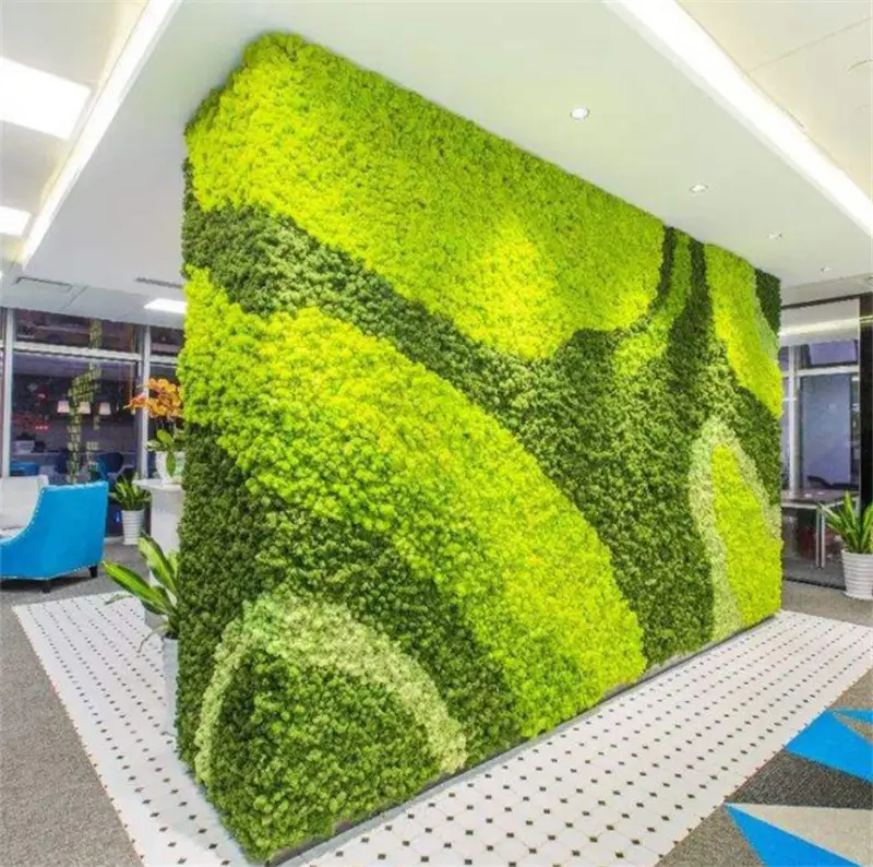 E07610 Großhandel Pflanzen wand zubehör grüne Wand dekoration trockene Pflanze Hintergrund getrocknet konserviertes Moos für Wohnkunst Dekor