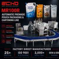 Machine d'emballage industrielle automatique ECHO pour sachets à bec verseur avec ligne de conditionnement robotisée pour le placement et l'emballage en carton