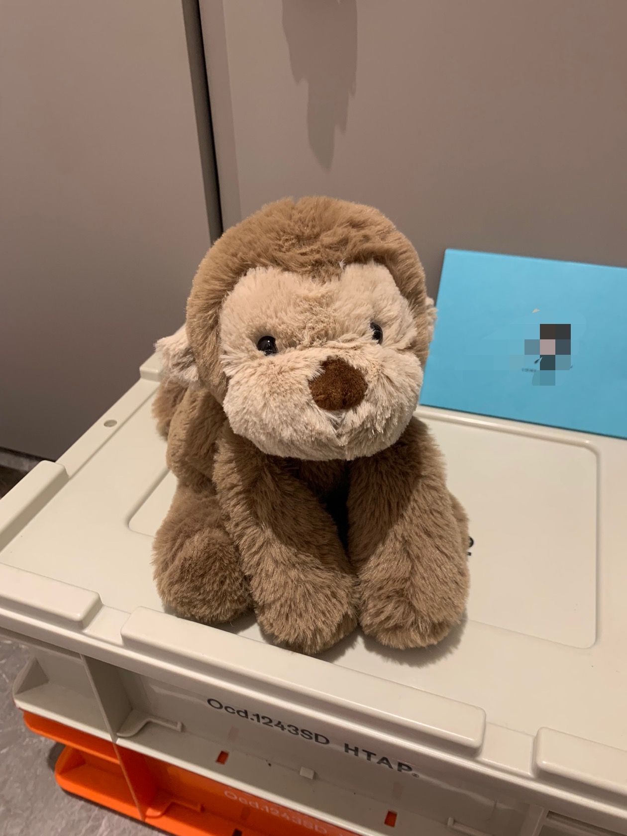 Monkey