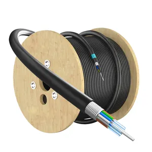 Wholesale 2-288 Core SM MM GYTA Outdoor Duct Coaxial Direct Burial Communication Armoured Fiber Optic Cable