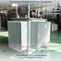 Transformateur de distribution immergé dans l'huile triphasé S13-M 30 kVA 100 kVA 250 kVA 50/60 Hz IEC 60076 pour utilisation en sous-station et en usine