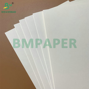 Papier kraft imperméable <span class=keywords><strong>enduit</strong></span> de PE simple/double face 290 g/m² 350 g/m² pour bols à nouilles et à soupe - Product Image 5