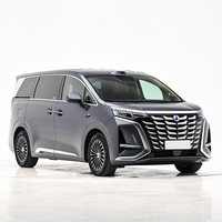 DENZA D 9 EV HYBRID 7 PLACES MPV VOITURE DE LUXE Euro VI Haute Efficacité Toit Ouvrant Panoramique Sièges en Cuir R18 Électrique pour