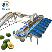 Kehong PLC Automatische Weeg- en Sorteermachine voor Fruitverwerkingsbedrijven, Vers Fruit en Groenten, Aangepast Model met 3-18 Sorteerniveaus