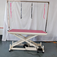 Table de toilettage électrique pour animaux de compagnie en acier inoxydable, robuste, réglable en hauteur, avec plateau antidérapant