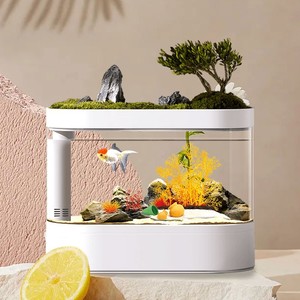 데스크탑 스마트 자동 먹이 공급 및 LED 조명 어항 - Product Image 6