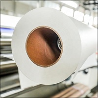 Papier de transfert par sublimation en polyester léger blanc à séchage rapide et à taux de transfert élevé 35 g/m² 45 g/m² pour imprimante industrielle MS-JP4